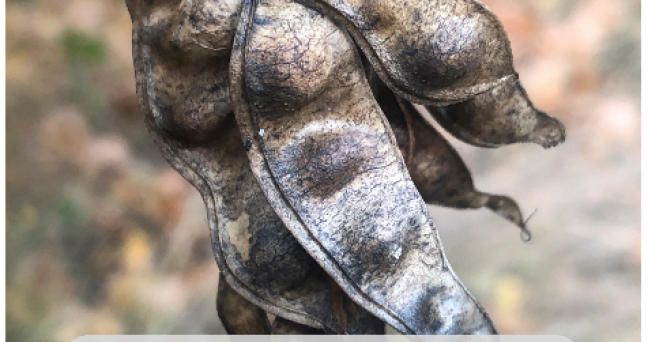 Omslagsbild SOU 2022:07